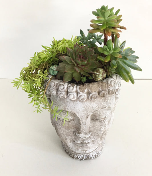 Buddha Garden Succulent Planter