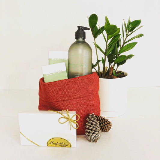Christmas Hamper including plant, reed diffuser, hand and body wash and chocolates