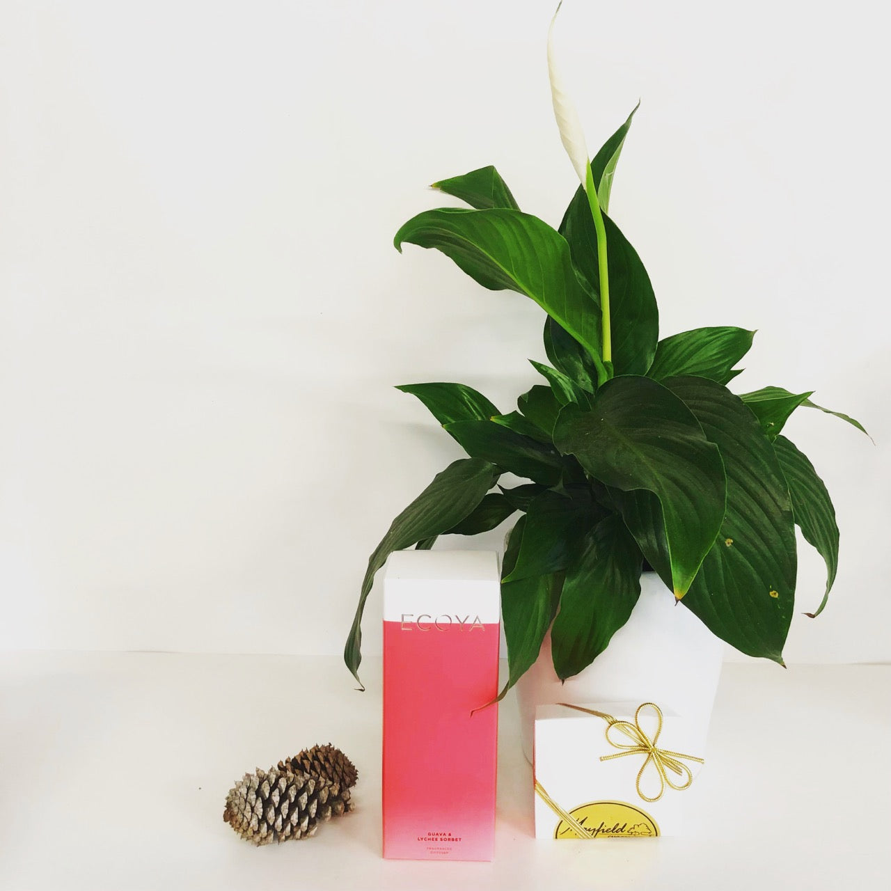 1 plant, 1 reed diffuser and 1 bar of 50g chocolate