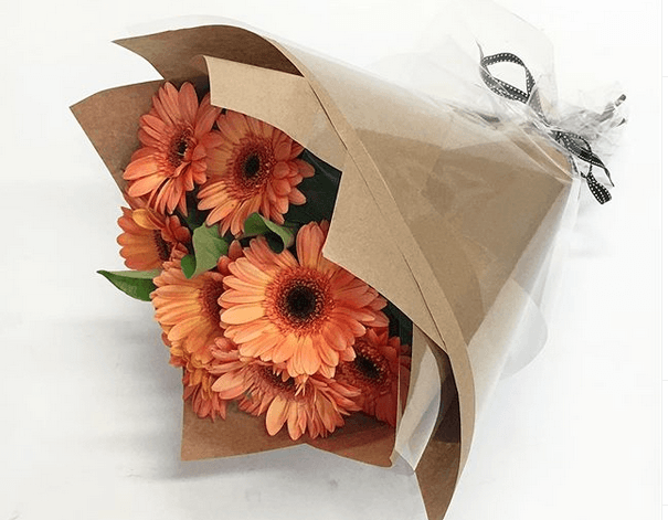 orange gerbera gift wrapped for delivery on the sunshine coast