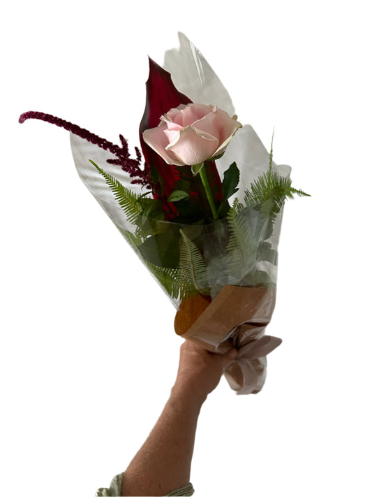single rose for delivery on the sunshine coast