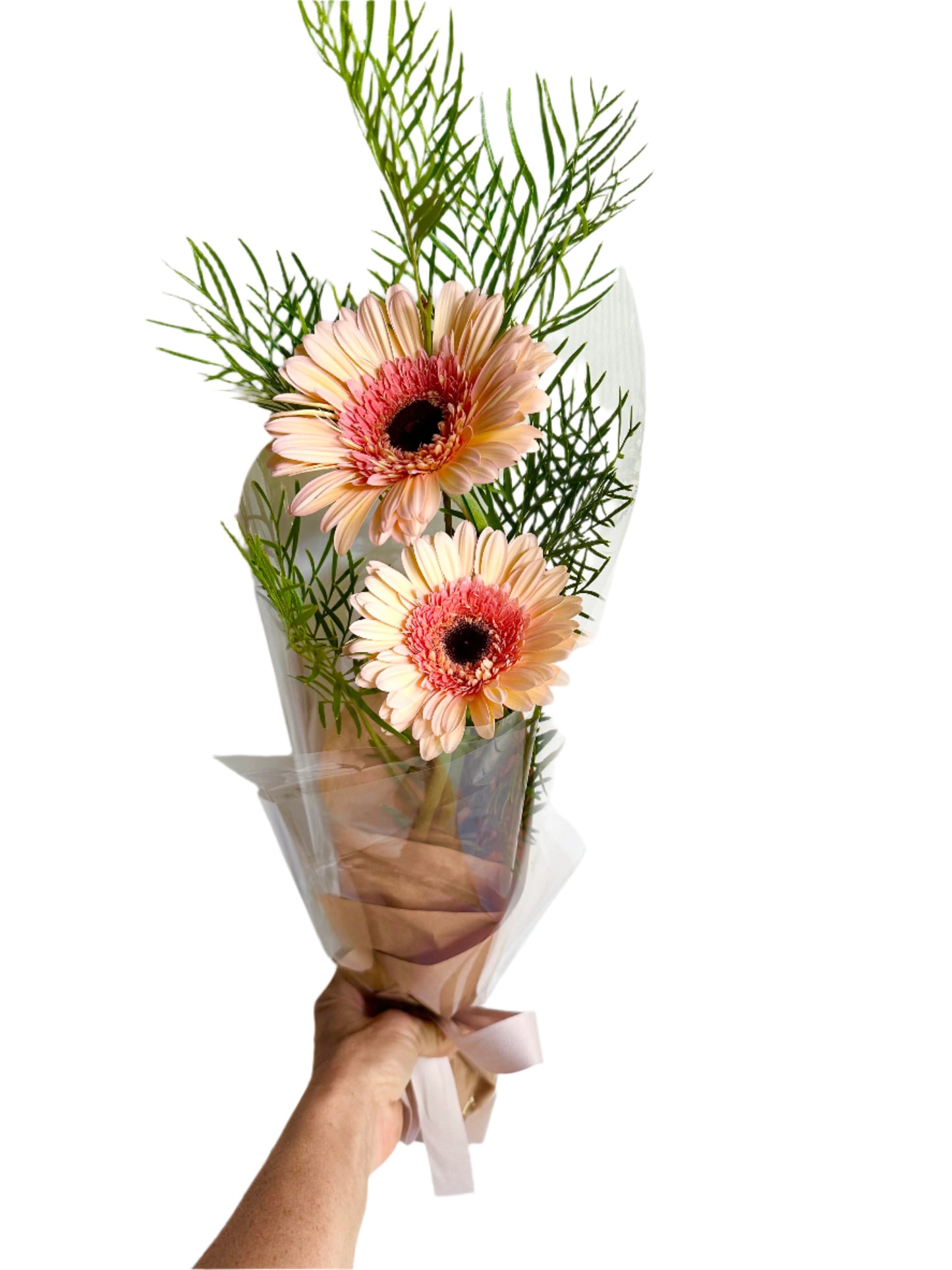 Gerbera flower for delivery by Resonate Designs on the Sunshine Coast 