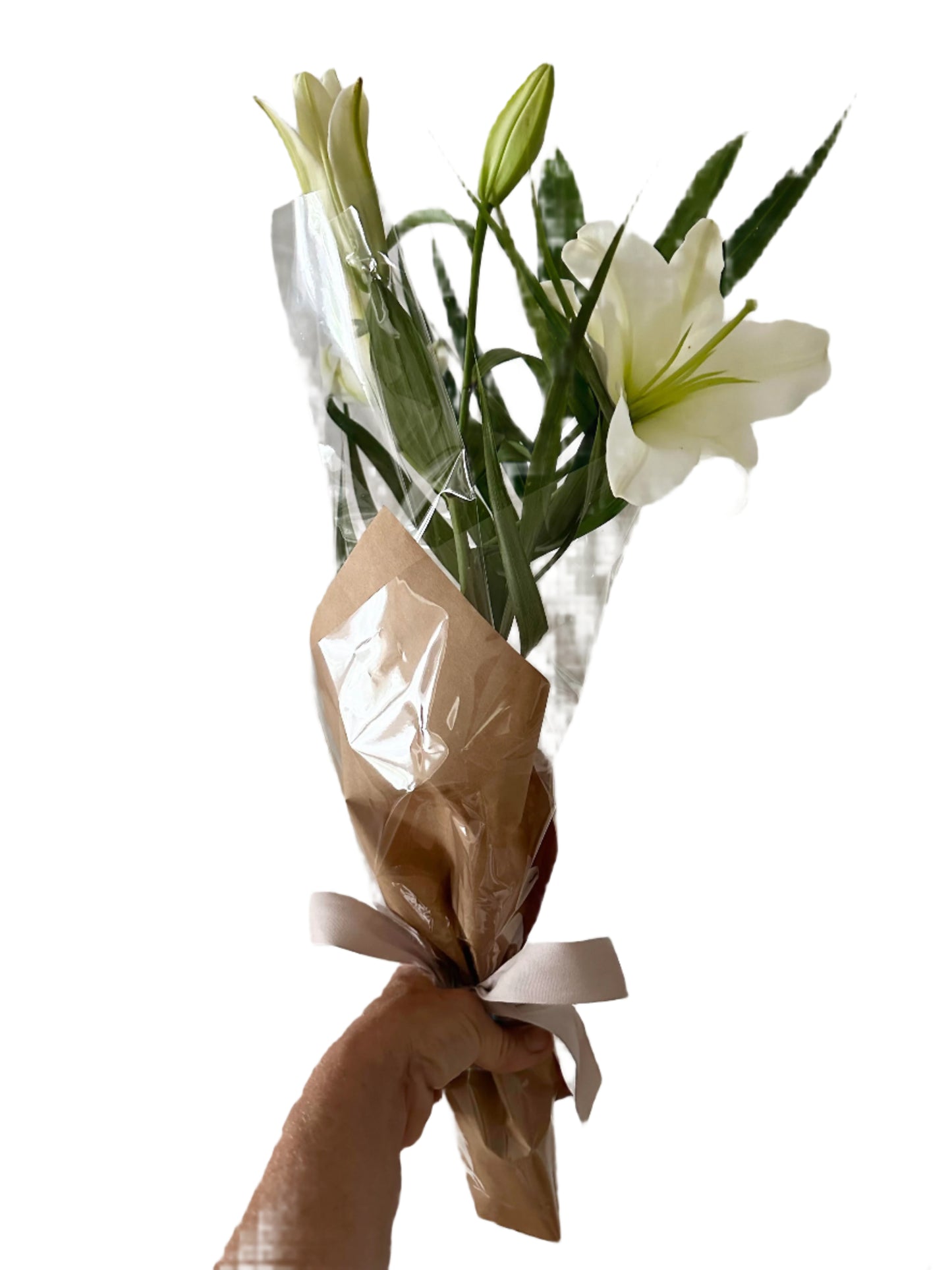 single lily stem  for delivery on the Sunshine Coast 